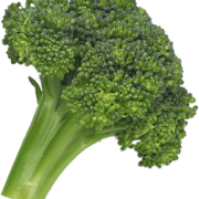 Broccoli png afbeelding