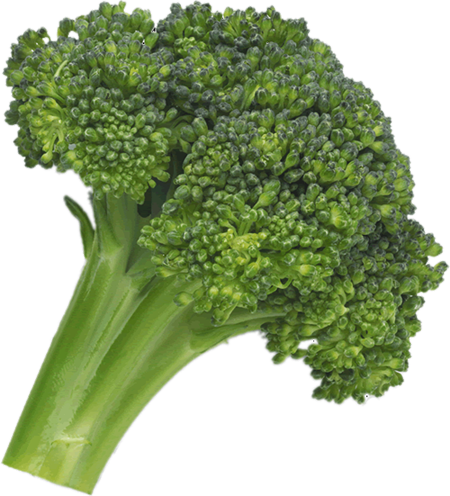 Broccoli PNG Immagine
