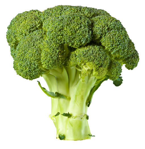 Immagine di broccoli png