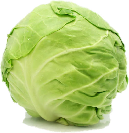Cabbage Free PNG Image