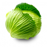 Cabbage PNG Clipart
