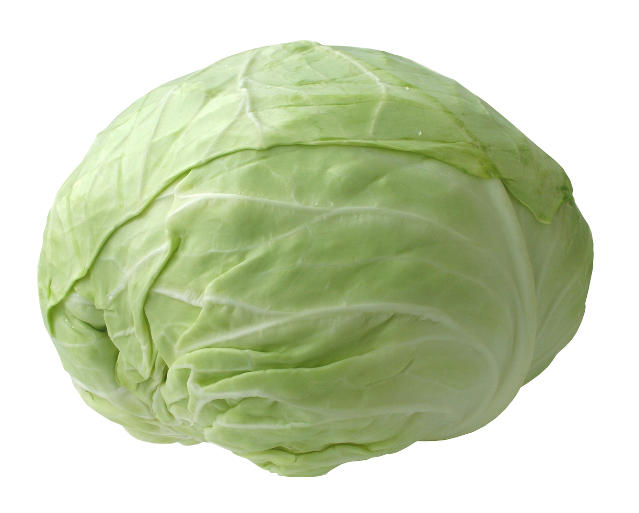 Cabbage PNG Picture