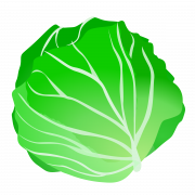 Cabbage Transparent