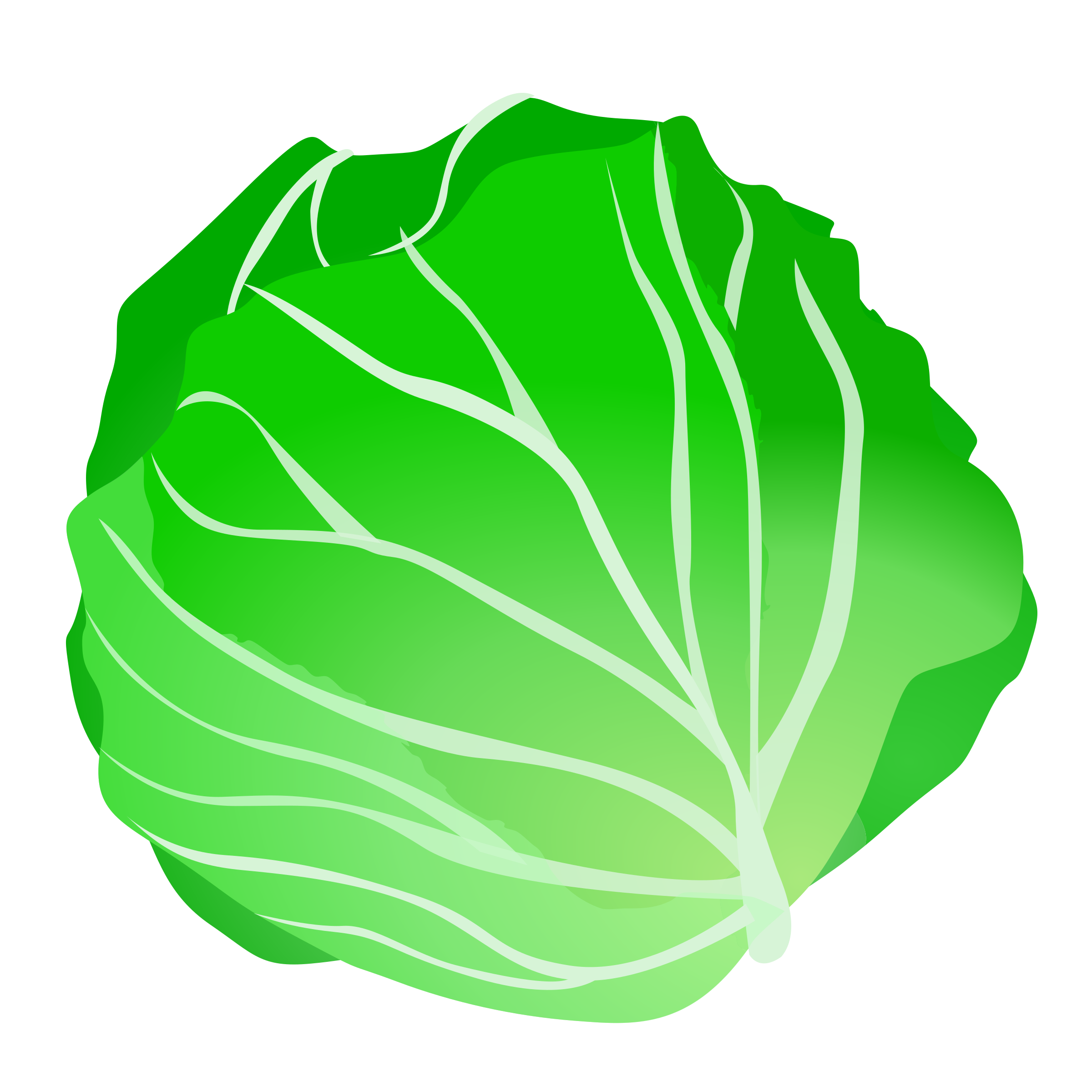 Cabbage Transparent