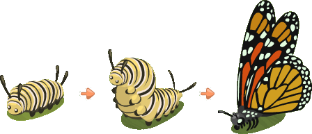 Caterpillar gratis downloaden PNG