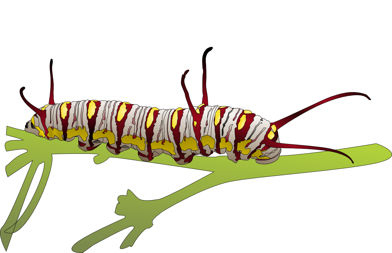 Caterpillar Free PNG Image
