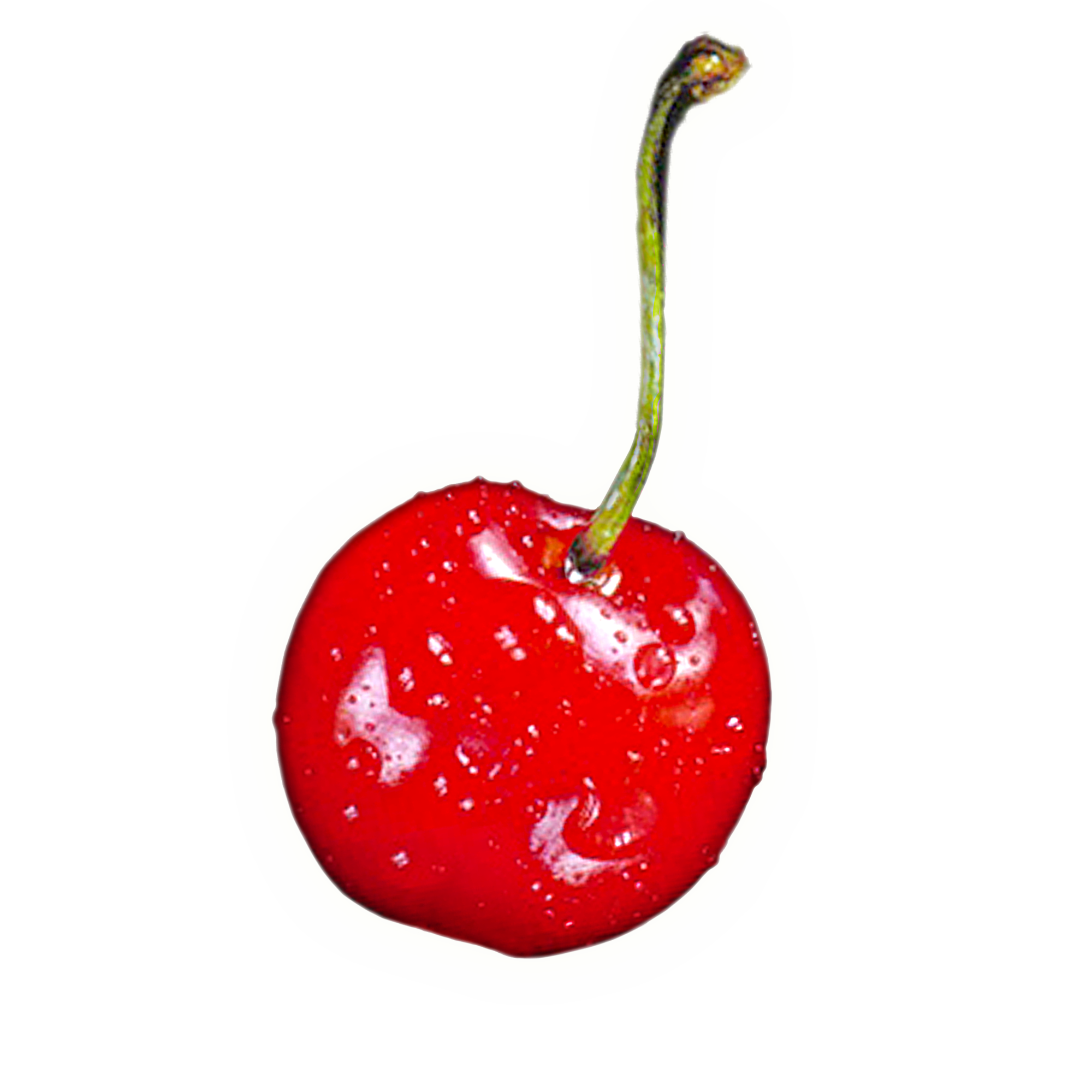 Cherry Free Download PNG