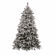 شجرة عيد الميلاد PNG