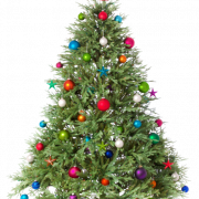 Christmas tree png clipart