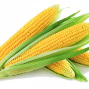 Corn Gratis Unduh PNG