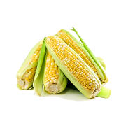 Corn Free PNG Image