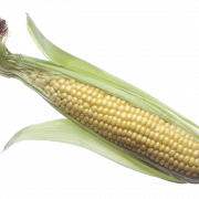 PNG de maíz