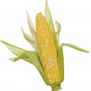 Corn PNG Clipart