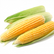 Archivo PNG de maíz