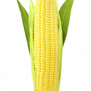Imagen de PNG de maíz