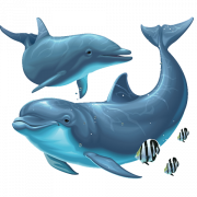 Dolfijn PNG -bestand