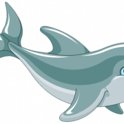 Dolphin PNG HD