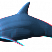 Dolphin PNG Pic