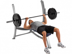 Exercise Bench Free Download PNG