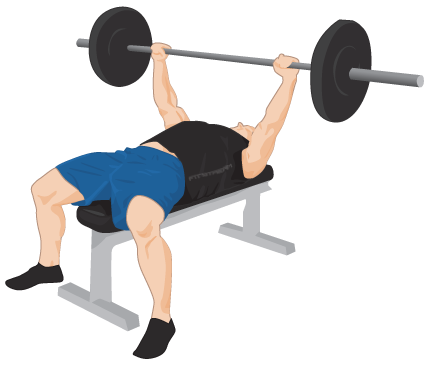 Exercise Bench PNG
