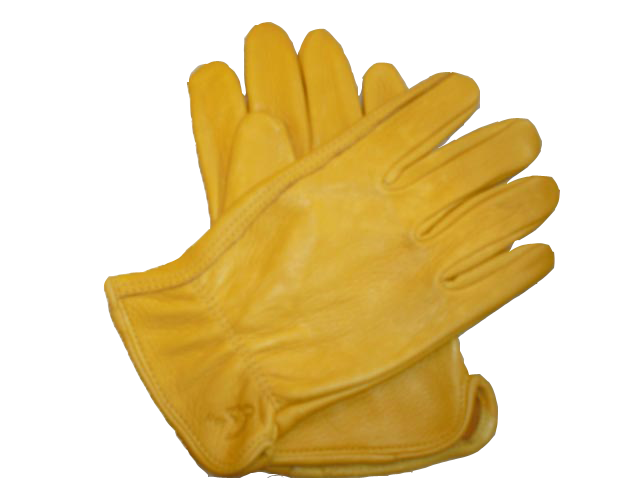 Gloves Free PNG Image