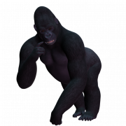 Gorilla PNG -afbeelding