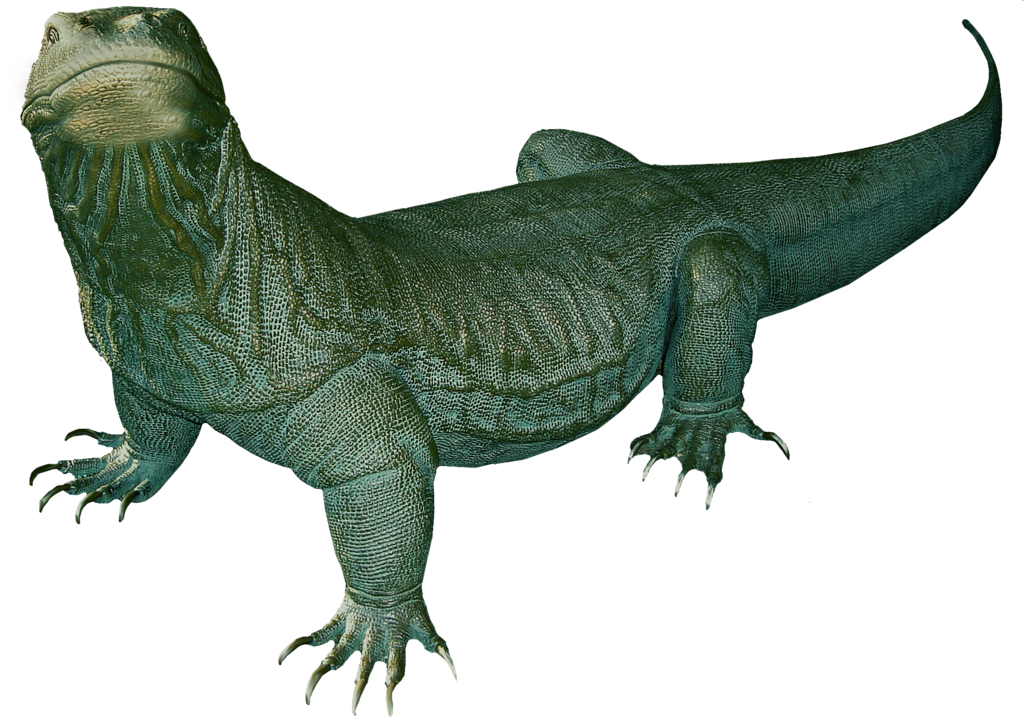 Komodo Dragon Ücretsiz Png Görüntü