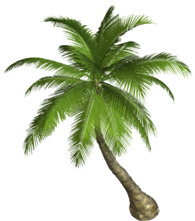 Nature Scarica png