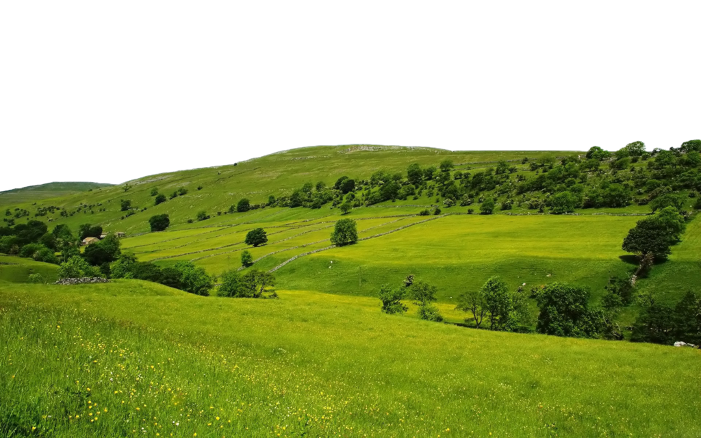 Nature Free Download PNG