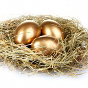 Nest Download PNG