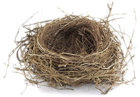 Nest Free Download PNG
