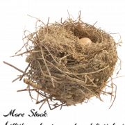 Nest Free PNG Image