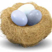 Nest PNG Picture