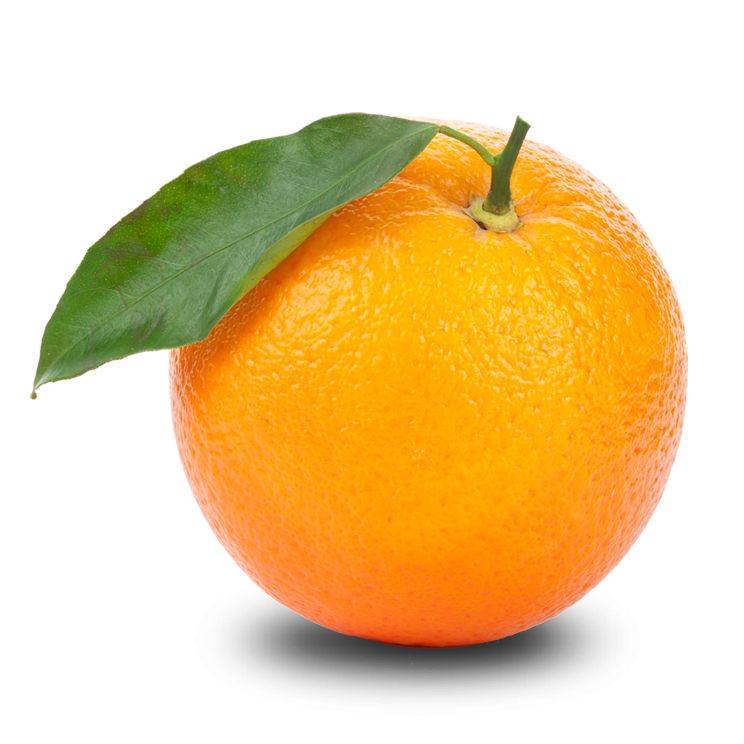 Clipart arancione png