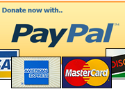PayPal Donate Button Free PNG Image