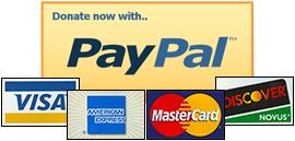 PayPal Donate Button Free PNG Image