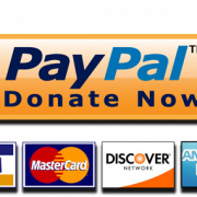 PayPal Donate Button High-Quality PNG