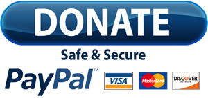 Pulsante PayPal Donazione PNG Immagine