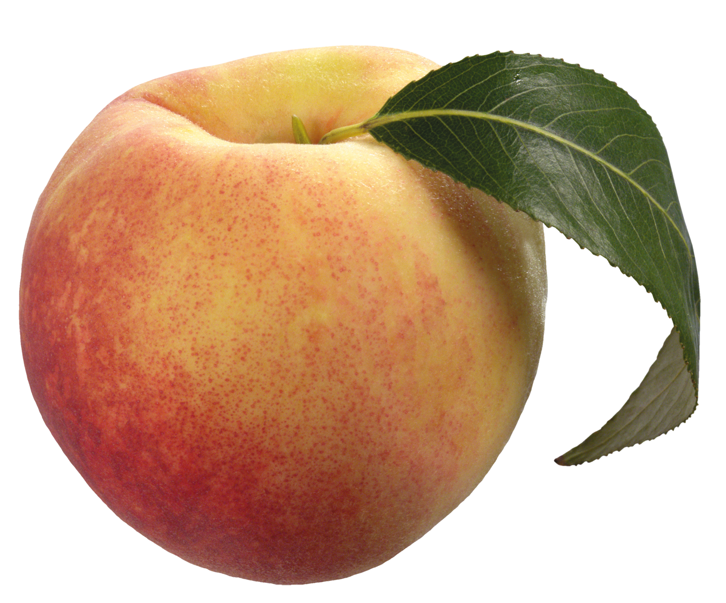 Peach Free Download PNG
