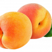 Peach PNG Picture