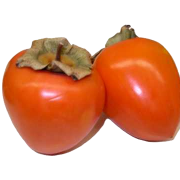 Persimmon Free Download PNG