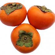 Persimmon PNG Clipart