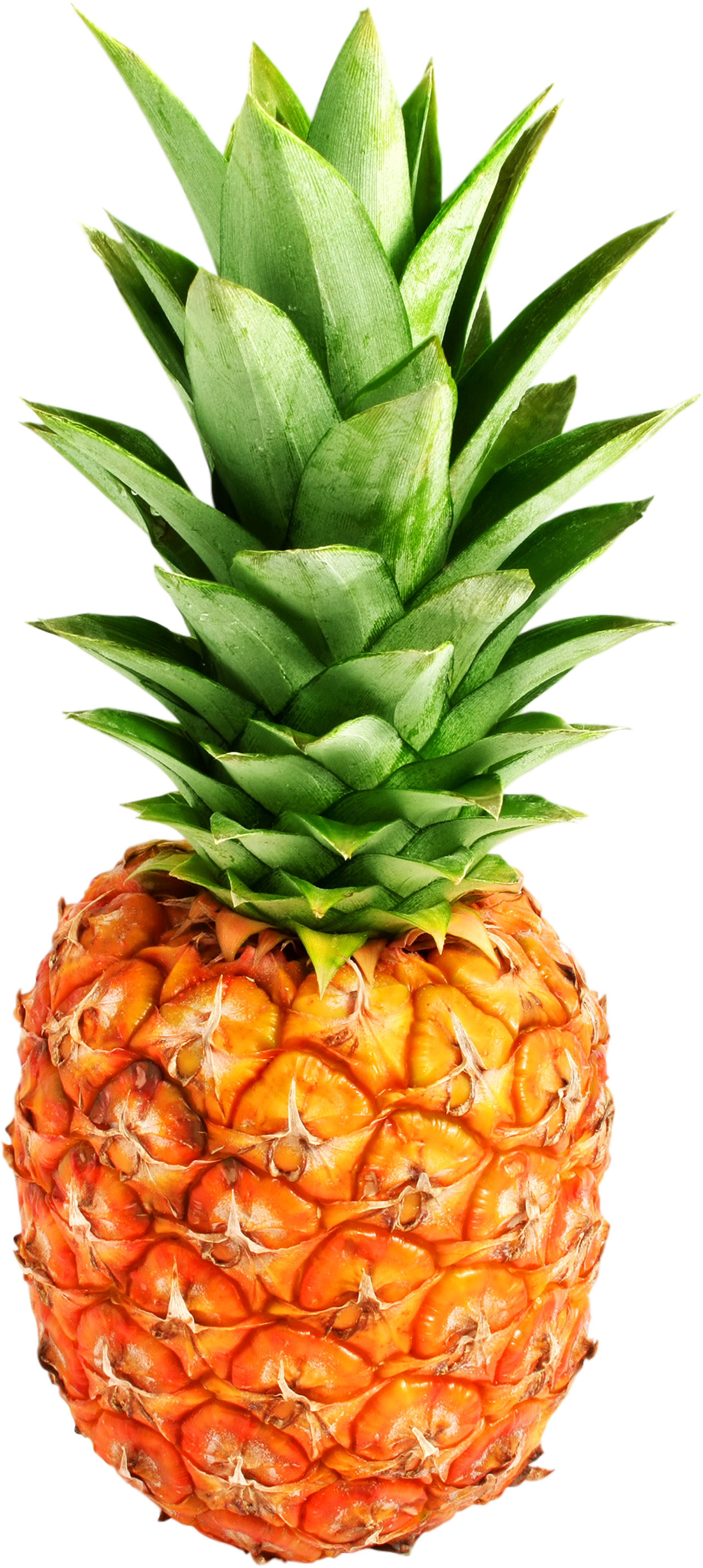 Pineapple PNG Clipart