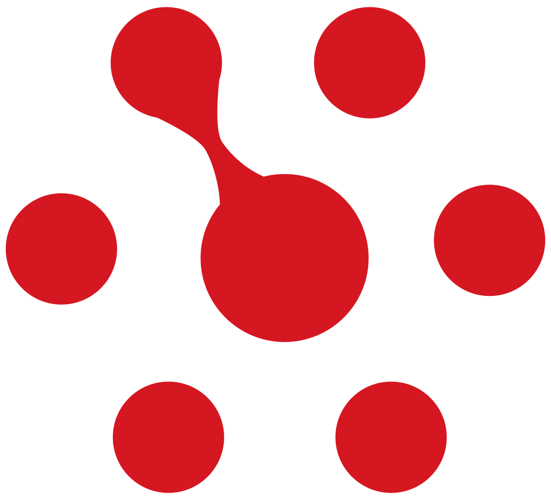 Plesk Logo transparent
