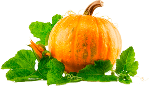 Pumpkin PNG Clipart