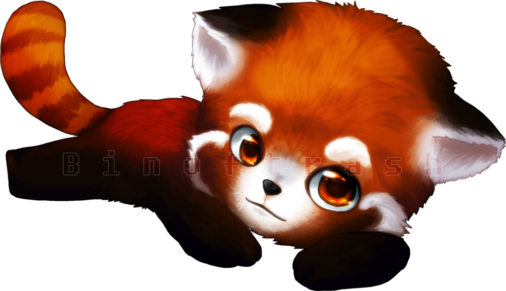 Kırmızı Panda Png Clipart