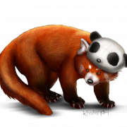 Image png panda rouge