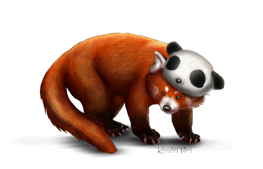 Imagen de panda rojo png