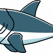 Requin PNG
