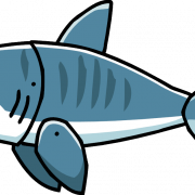 سمك القرش PNG الموافقة المسبقة عن علم